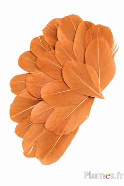 Verenblaadjes - 6-8 x 3-4 cm - cognac